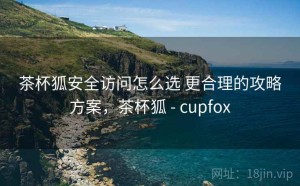 茶杯狐安全访问怎么选 更合理的攻略方案，茶杯狐 - cupfox