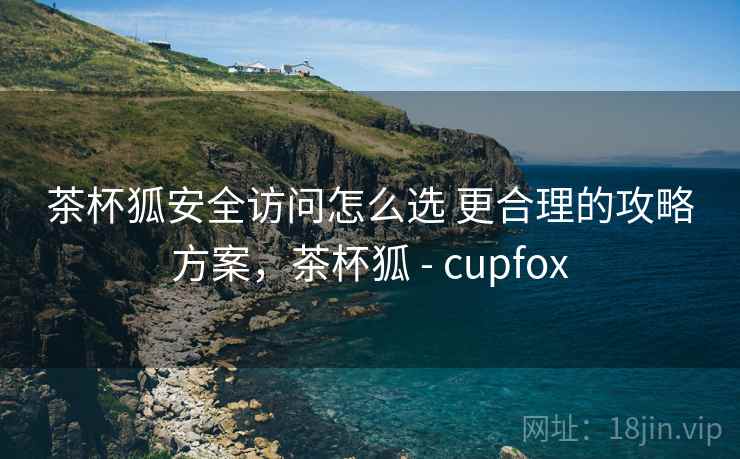 茶杯狐安全访问怎么选 更合理的攻略方案，茶杯狐 - cupfox