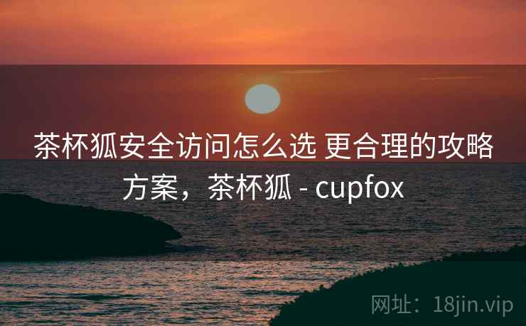 茶杯狐安全访问怎么选 更合理的攻略方案，茶杯狐 - cupfox