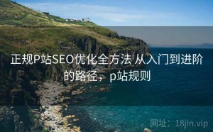 正规P站SEO优化全方法 从入门到进阶的路径，p站规则
