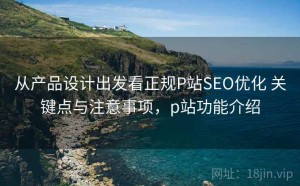 从产品设计出发看正规P站SEO优化 关键点与注意事项，p站功能介绍