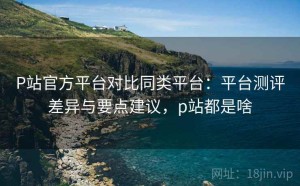 P站官方平台对比同类平台：平台测评差异与要点建议，p站都是啥