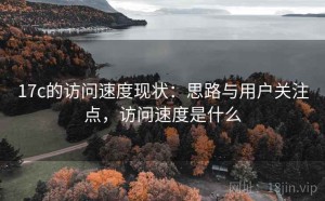 17c的访问速度现状：思路与用户关注点，访问速度是什么