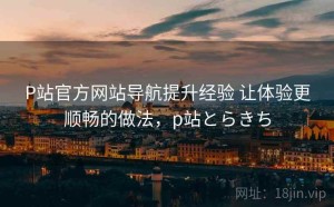 P站官方网站导航提升经验 让体验更顺畅的做法，p站とらきち