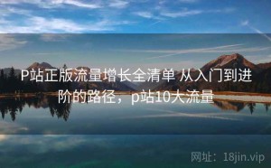 P站正版流量增长全清单 从入门到进阶的路径，p站10大流量