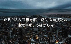 正规P站入口与导航：访问指南技巧及注意事项，p站からん
