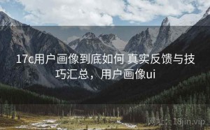 17c用户画像到底如何 真实反馈与技巧汇总，用户画像ui