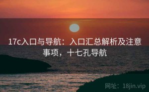 17c入口与导航：入口汇总解析及注意事项，十七孔导航