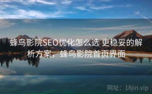 蜂鸟影院SEO优化怎么选 更稳妥的解析方案，蜂鸟影院首页界面