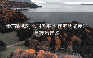番茄影视对比同类平台 搜索功能差异与技巧建议