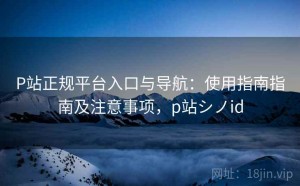P站正规平台入口与导航：使用指南指南及注意事项，p站シノid