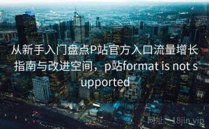 从新手入门盘点P站官方入口流量增长 指南与改进空间，p站format is not supported