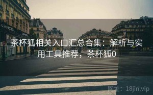 茶杯狐相关入口汇总合集：解析与实用工具推荐，茶杯狐0