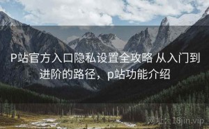 P站官方入口隐私设置全攻略 从入门到进阶的路径，p站功能介绍
