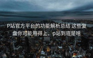 P站官方平台的功能解析总结 这些复盘你可能用得上，p站到底是啥