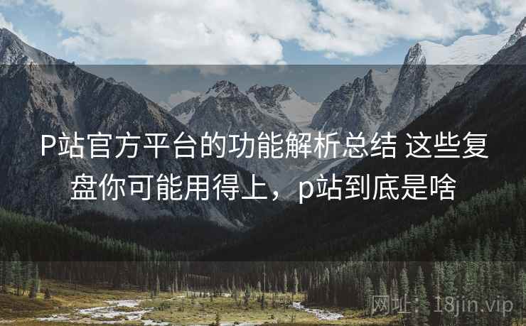 P站官方平台的功能解析总结 这些复盘你可能用得上，p站到底是啥