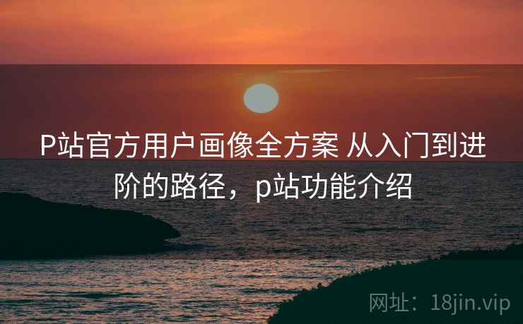 P站官方用户画像全方案 从入门到进阶的路径，p站功能介绍