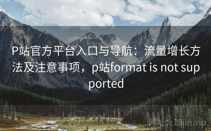P站官方平台入口与导航：流量增长方法及注意事项，p站format is not supported