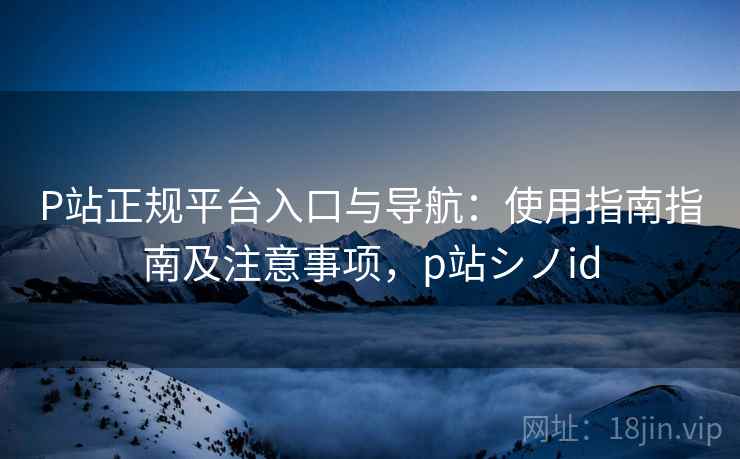 P站正规平台入口与导航：使用指南指南及注意事项，p站シノid
