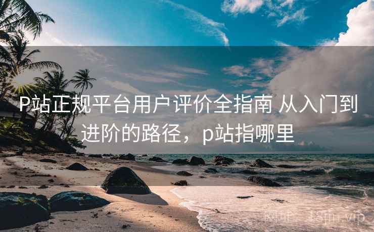 P站正规平台用户评价全指南 从入门到进阶的路径，p站指哪里