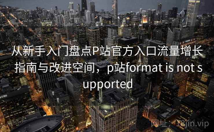 从新手入门盘点P站官方入口流量增长 指南与改进空间，p站format is not supported