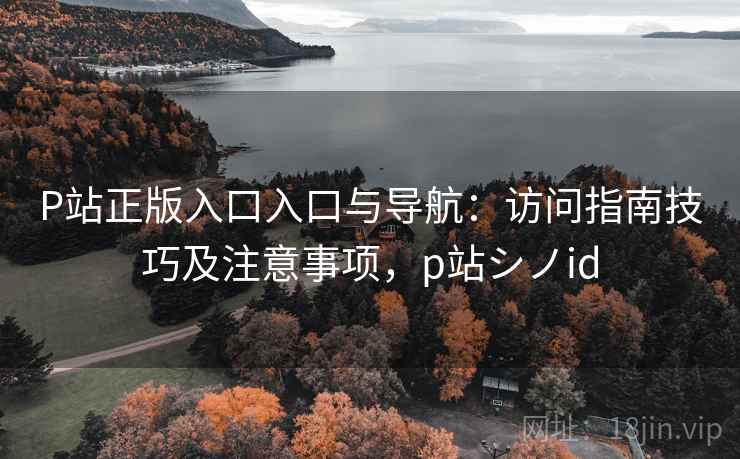 P站正版入口入口与导航：访问指南技巧及注意事项，p站シノid