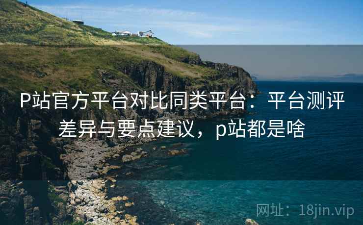 P站官方平台对比同类平台：平台测评差异与要点建议，p站都是啥