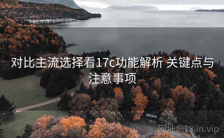 对比主流选择看17c功能解析 关键点与注意事项