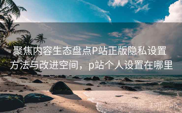 聚焦内容生态盘点P站正版隐私设置 方法与改进空间，p站个人设置在哪里