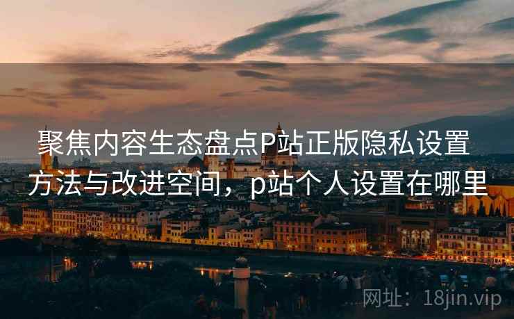 聚焦内容生态盘点P站正版隐私设置 方法与改进空间，p站个人设置在哪里
