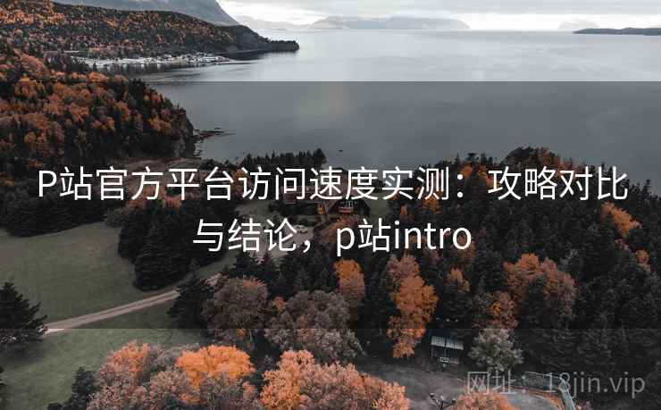 P站官方平台访问速度实测:攻略对比与结论,p站intro P站官方平台访问速度实测:攻略对比与结论,p站intro