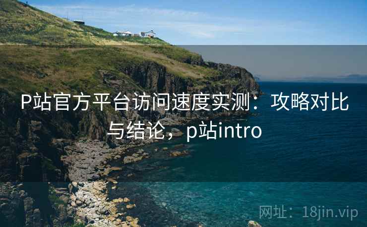 P站官方平台访问速度实测:攻略对比与结论,p站intro P站官方平台访问速度实测:攻略对比与结论,p站intro
