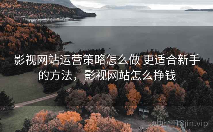 影视网站运营策略怎么做 更适合新手的方法,影视网站怎么挣钱 影视网站运营策略怎么做 更适合新手的方法,影视网站怎么挣钱