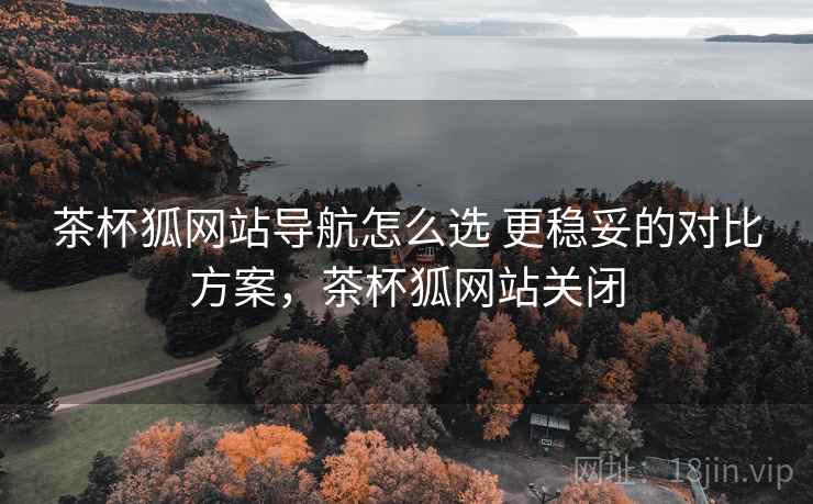 茶杯狐网站导航怎么选 更稳妥的对比方案,茶杯狐网站关闭 茶杯狐网站导航怎么选 更稳妥的对比方案,茶杯狐网站关闭