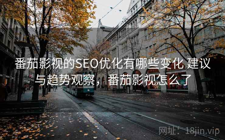 番茄影视的SEO优化有哪些变化 建议与趋势观察，番茄影视怎么了