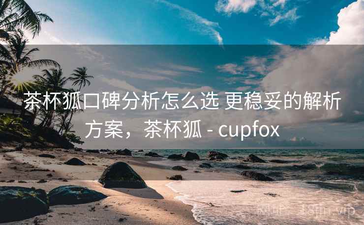 茶杯狐口碑分析怎么选 更稳妥的解析方案，茶杯狐 - cupfox