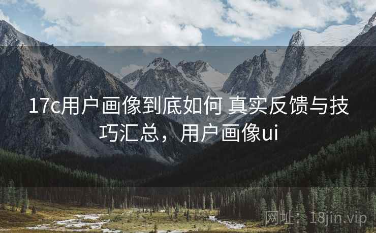 17c用户画像到底如何 真实反馈与技巧汇总，用户画像ui