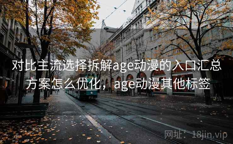 对比主流选择拆解age动漫的入口汇总 方案怎么优化，age动漫其他标签