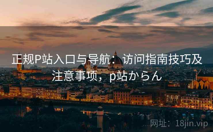 正规P站入口与导航：访问指南技巧及注意事项，p站からん