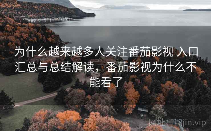 为什么越来越多人关注番茄影视 入口汇总与总结解读，番茄影视为什么不能看了